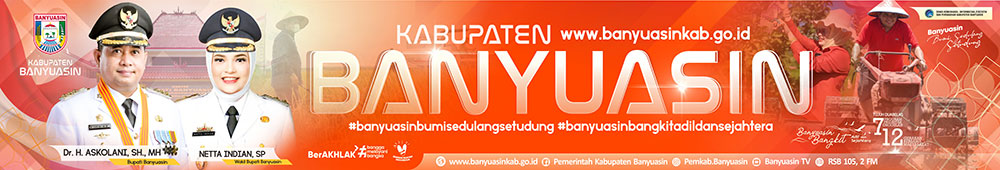 banyuasin