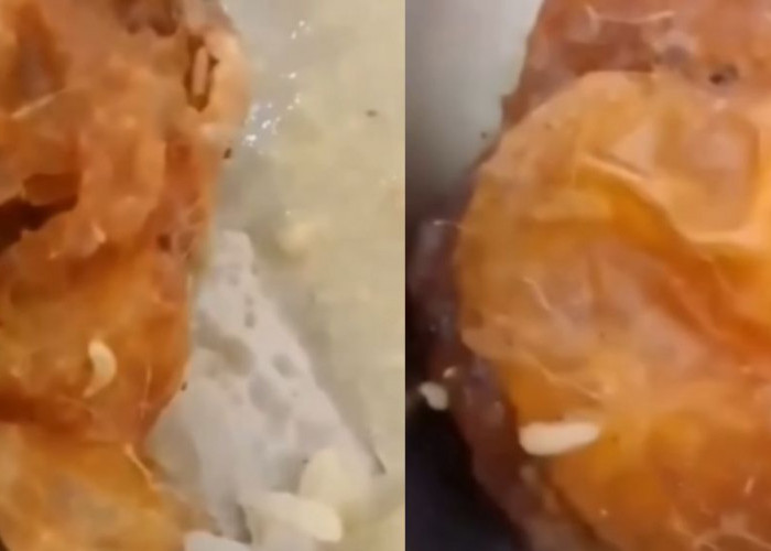 Ditemukan Belatung di Menu MBG SDN Cisarandi 1 Cianjur, Pihak Sekolah dan SPPG Beri Penjelasan Berbeda