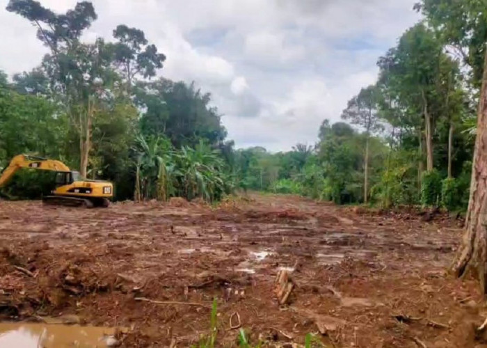 Tak Ada Sosialisasi, Warga Pertanyakan Pembangunan Hauling Batu Bara