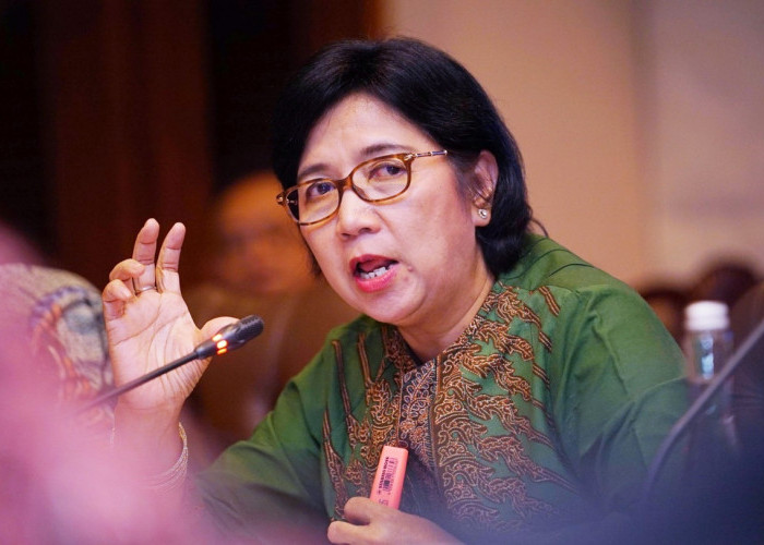 Profil Destry Damayanti, Calon Tunggal Gubernur Bank Indonesia Pilihan Presiden Prabowo