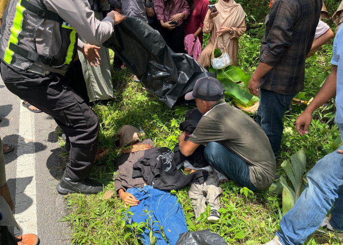 Ngebut Dijalan Lurus, Terjebak  Lubang, Ibu dan Balita Terpental, Disambar Mobil, Tewas di Tempat