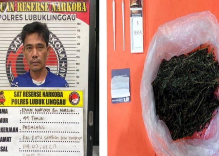 Terjaring Razia, Nelayan Ini Mengaku Hisap Ganja agar Tidak Mabuk Saat Melaut, Gak Salah Tuh?
