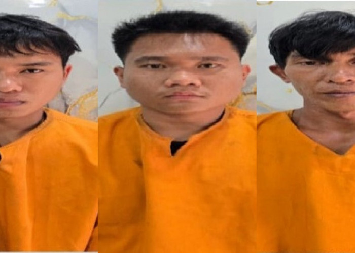 Tiga Pria Ditangkap, Polisi Bongkar Dugaan Pembakaran Lahan Musi Hutan Persada 