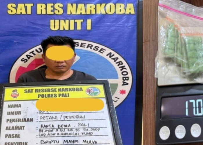 50 Pil Ekstasi Logo Minion Disita, Pria 35 Tahun Ditangkap di PALI