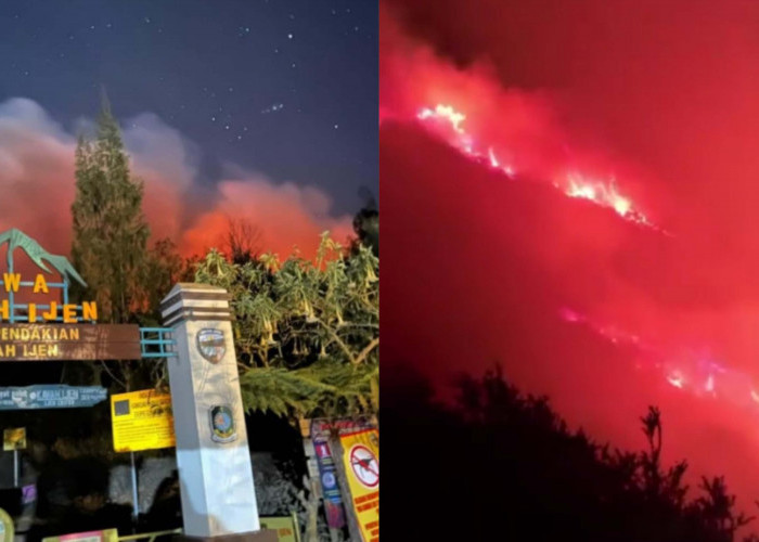 Banyuwangi Darurat! Jalur Pendakian Kawah Ijen Ditutup Sementara Imbas Kebakaran Masuk Area Lereng