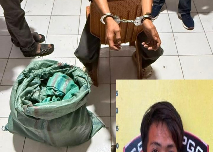 Petani Kopi di Pagaralam Diikat dan Dirampok, Kerugian Capai  Rp100 Juta Lebih