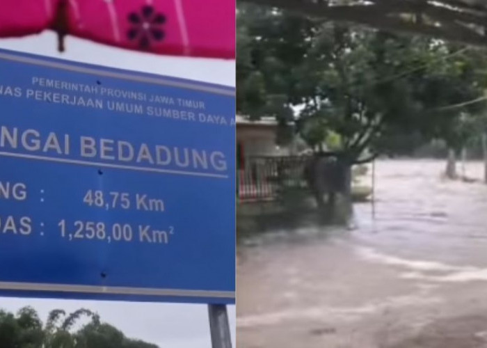 Banjr dan Longsor Terjang Jember Akibat Luapan Sungai Bedadung, 1.271 Keluarga Terdampak