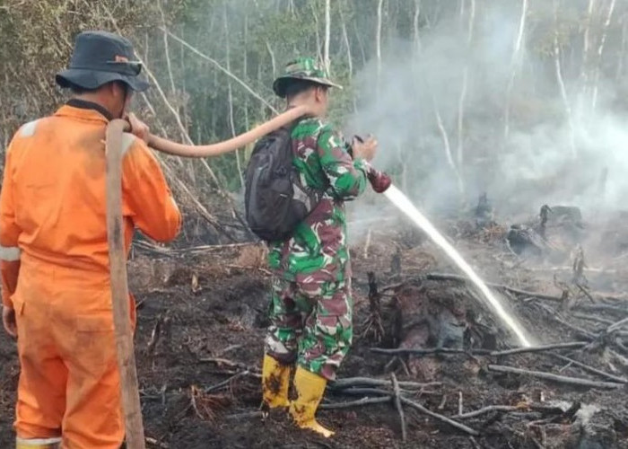 3 Kecamatan di Kabupaten Ini Masuk Zona Waspada Karhutla, Status Siaga 123 Hari
