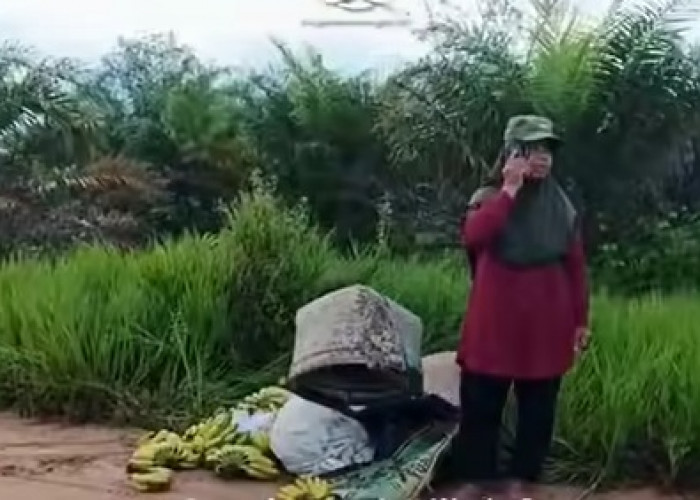 Astaga, Begal Rampas Sepeda Motor Ibu-ibu Penjual Pisang di Mesuji Raya