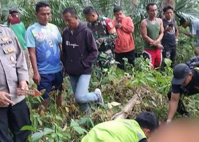 Diduga Curi Sawit, Leher Putus Dib4cok Pemilik Kebun, Pelaku Menyerahkan Diri