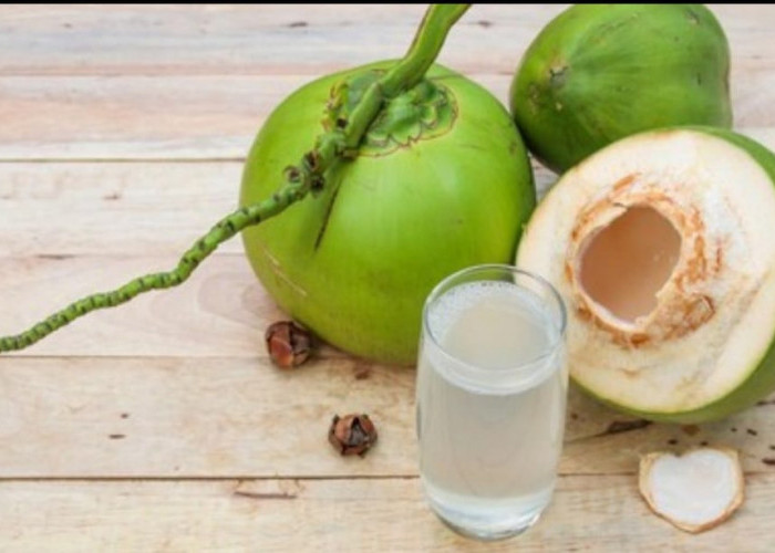 Air Kelapa untuk Asam Lambung, Mitos atau Penolong Alami? Ini Fakta yang Jarang Dibahas