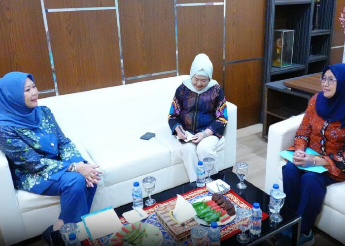 Jelang Pelantikan, Perempuan ICMI Jajaki Kerjasama dengan TP PKK  Sumsel