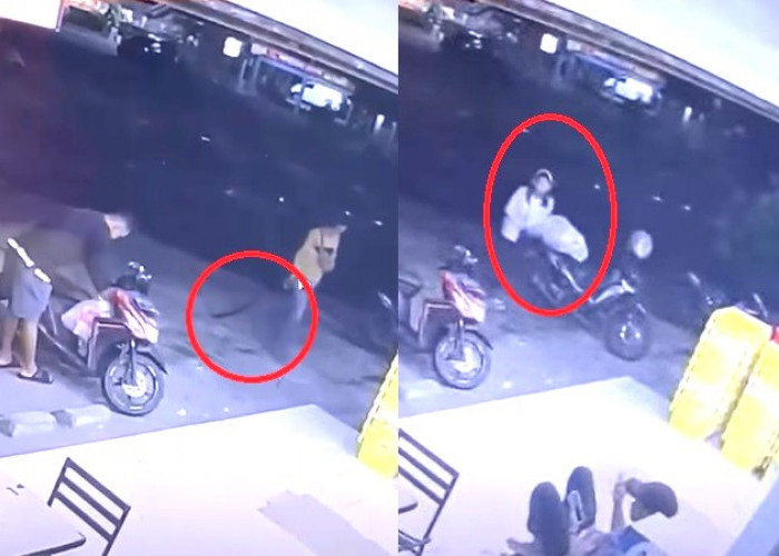 Pria Dengan Pedang Panjang Bacok Kepala Duda Hingga Tewas, Disaksikan Sejumlah Warga