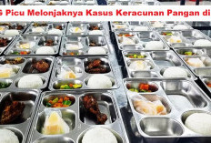 Waduh! MBG Sumbang Hampir Separuh Kasus Keracunan Pangan RI, Bos BGN Ungkap Faktanya!