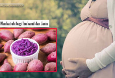 Sering dianggap Makanan Desa, Inidia 9 Manfaat Ajaib Ubi untuk Ibu Hamil dan Janin, Hemm