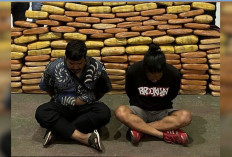 Polda Metro Jaya Gagalkan Penyelundupan 143 Kg Ganja di Tangerang, 2 Orang Langsung Diciduk!