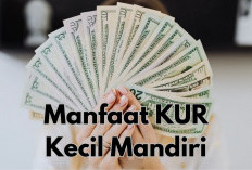 Manfaat KUR Kecil Mandiri, Solusi Tepat untuk UMKM Agar Usaha Makin Tumbuh Pesat