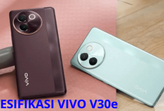 Resmi Rilis! Vivo V30e Dibekali Spek Gahar dengan Layar AMOLED, Bikin Gempar Pasar Smartphone...