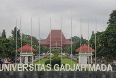 Rektor UGM Resmi Pecat Guru Besar Farmasi, Setelah Terbukti Lecehkan Mahasiswi Sejak 2023, Ini Modusnya