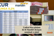 UMKM Bisa Pinjam Modal di KUR Mandiri! Nominal 25 Juta Bisa Cair Cepat dengan Penuhi Syarat Ini ya Gais...