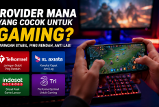 Provider Internet Terbaik untuk Gaming 2026: Stabil, Ping Rendah, Anti Lag!