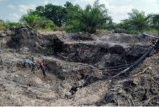 Cek Fakta PT Timah di Bangka Belitung Sebagai Penghasil Terbesar di Indonesia, Begini Kondisinya...