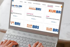 Calon Nasabah Wajib Tau! KUR BRI Ada Asuransi Penting, Seperti Apa ya? Simak Informasinya..