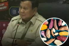 Bukan Water Bombing, Ini 'Ubi Bombing' yang Disebut Prabowo Bisa Padamkan Karhutla