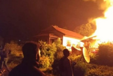OPM Bakar Rumah Bupati dan Kantor Distrik: Ancaman Eskalasi Konflik di Puncak! 