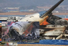 Laporan Investigasi Ungkap Pesawat Maut Jeju Air Tewaskan 179 Penumpang Tersebut Karena Kesalahan Pilot!