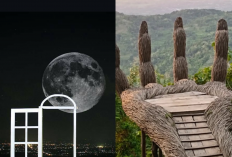 Bikin Nagih! City Light Romantis Jogja di Pintu Langit Dahromo & Hutan Pinus Pengger