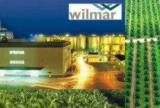 PT. Wilmar Buka Lowongan Lagi? Cek disini untuk yang Belum Tau dan Jangan Sampai Terlambat Ya!