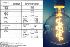 Rincian Tarif Listrik per kWh Juli 2025 Semua Golongan Tetap Stabil, Pemerintah Pastikan Tidak Ada Kenaikan