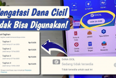 Solusi Ampuh Mengatasi DANA Cicil yang Tiba-Tiba Tidak Bisa Digunakan, Limit Masih Banyak Kok Hilang?