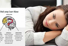 Ketika Stres Mengambil Alih Pemikiran: Mengapa Otak Sulit Berfikir Rasional?