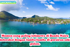 Banda Naira, Pesona Momen Tak Terlupakan di Pulau Rempah-Rempah