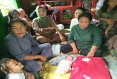 Bayi Laki-Laki Ditemukan di WC Mushola, Warga Tanjung Lago Geger