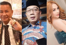 Hotman Paris Menanggapi Soal Tes DNA Terkait Isu Perselingkuhan Ridwan Kamil dan Lisa Mariana: Kasus Langkah!
