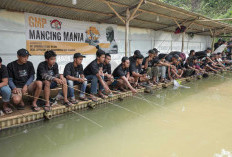  8 Umpan Pancing Terbaik, Anglers Wajib Tau, Dijamin Joran Melengkung