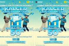 PLN Kembali Beri Diskon 50% Sambut Hari Pelanggan, Cek Syarat dan Masa Berlakunya!