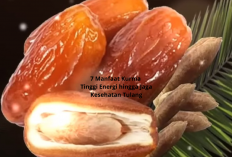7 Manfaat Kurma Wajib Kamu Ketahui: Tinggi Energi hingga Jaga Kesehatan Tulang!