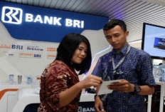 UMKM Makin Cuan! BRI Gaspol Salurin KUR Rp27,72 Triliun di Awal 2025