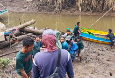 Diterkam Buaya di Sungai Sembilang, Ujang Ditemukan Tak Bernyawa
