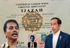 Bantah Mangkir, Roy Suryo Ngaku Tak Dapat Undangan Pemeriksaan Tudingan Ijazah Palsu Jokowi!