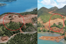 Bukan Kaleng-Kaleng! Kemenhut Turun Gunung Lawan Tambang Nikel Perusak Raja Ampat, Ada yang Milik China?