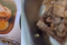 Viral! Belatung Ditemukan dalam Makan Bergizi Gratis di 2 Sekolah di Tuban, Ini Kata Camat Tambakboyo