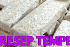 Anti Gagal Club! Resep Membuat Tempe Sendiri Dirumah dengan Mudah, Begini Caranya Moms... 