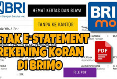 Let's Print! 14 Langkah Cetak Rekening Koran BRI Melalui Aplikasi BRImo Aman Tanpa Ribet Harus Antri di Bank