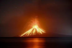 Update Terkini Anak Krakatau Erupsi: Status Level III Siaga, Imbauan untuk Nelayan dan Warga Lampung-Banten