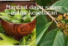 5 Manfaat Daun Salam untuk kesehatan yang Mungkin Belum Kamu Ketahui, Apa Saja?